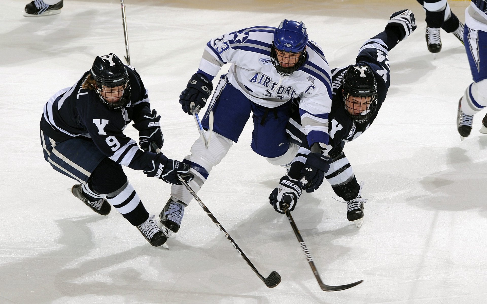 拜仁慕尼黑领跑德甲，争夺多项冠军